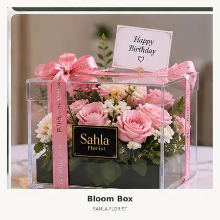 Bloom Box Teluk Betung